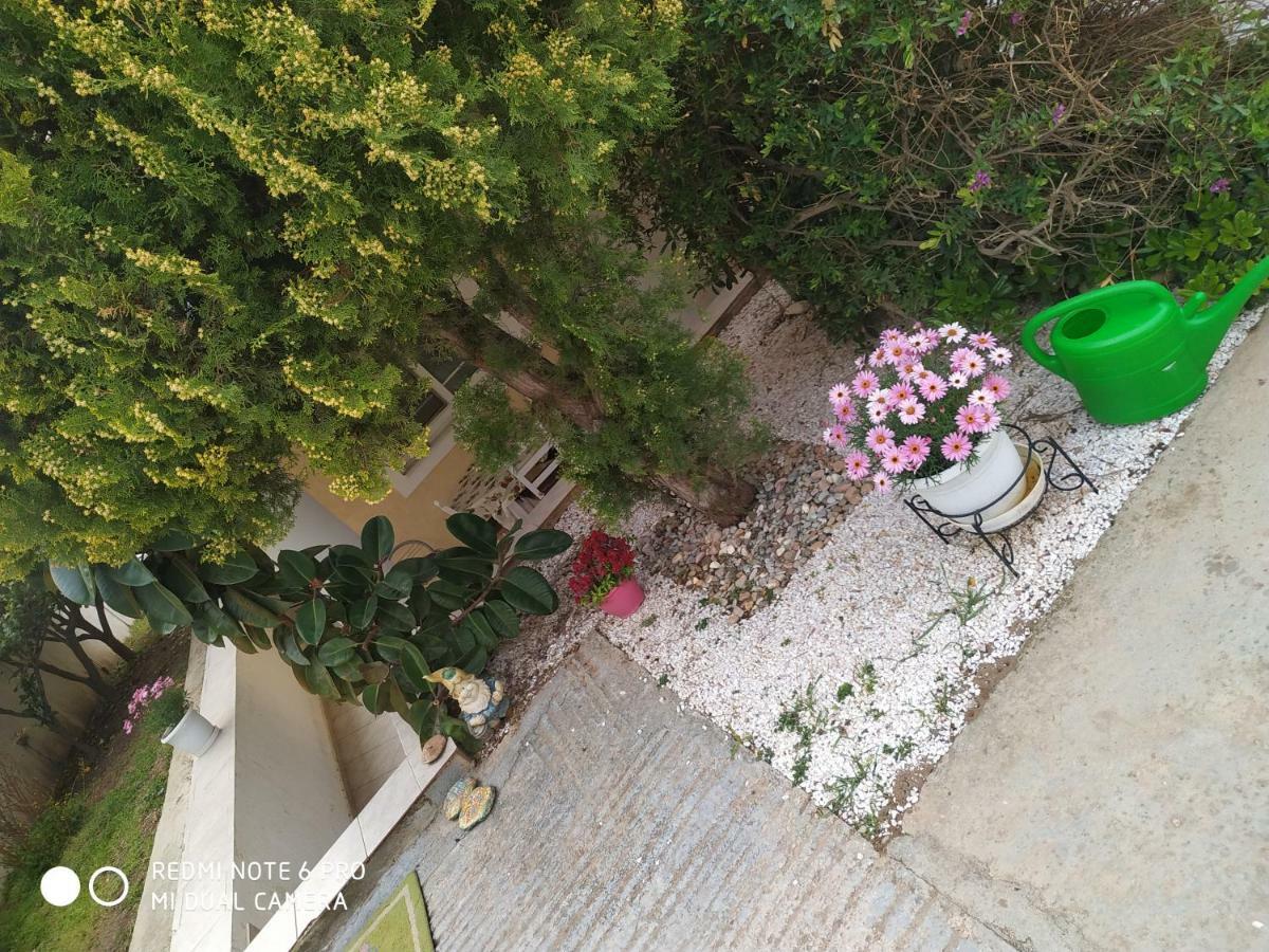 Stavros Apartments อาร์เตมีดา ภายนอก รูปภาพ